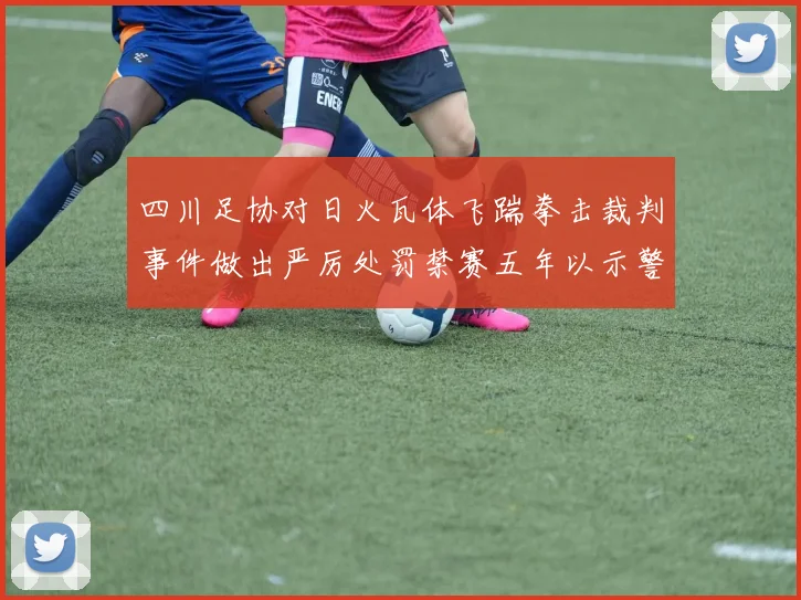 四川足协对日火瓦体飞踹拳击裁判事件做出严厉处罚禁赛五年以示警戒